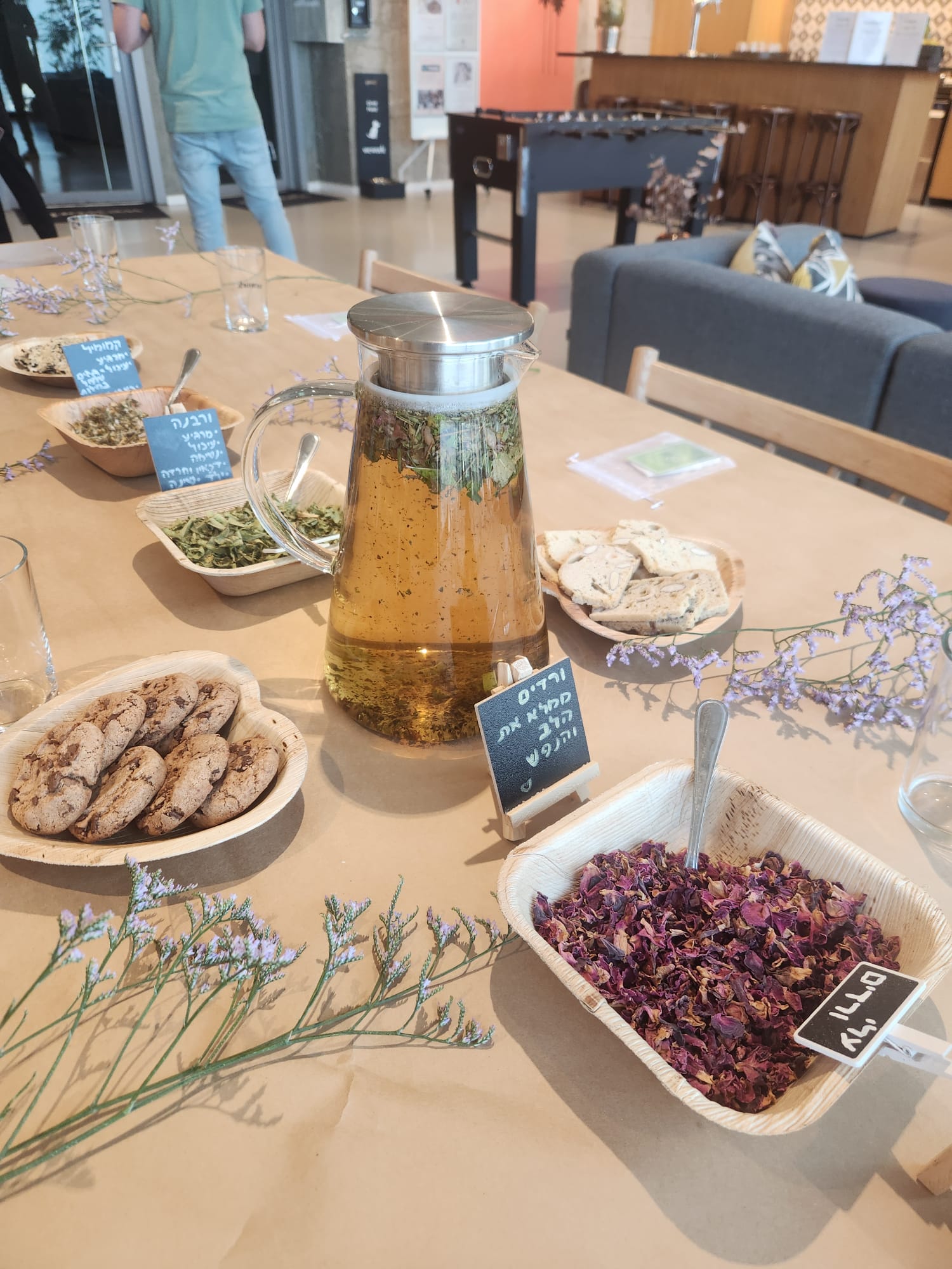 סדנת צמחי מרפא - תמונה 1