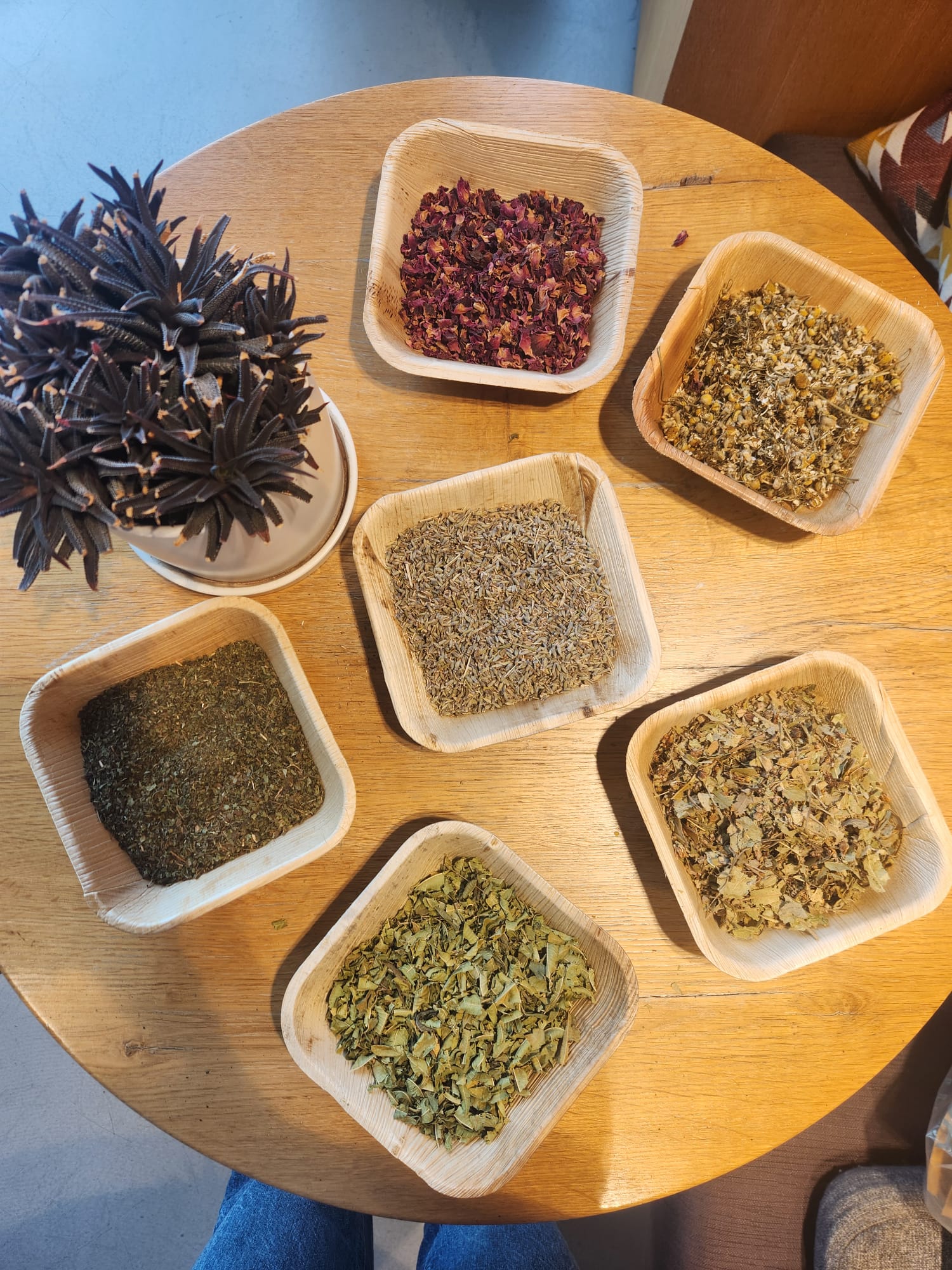 סדנת צמחי מרפא - תמונה 2